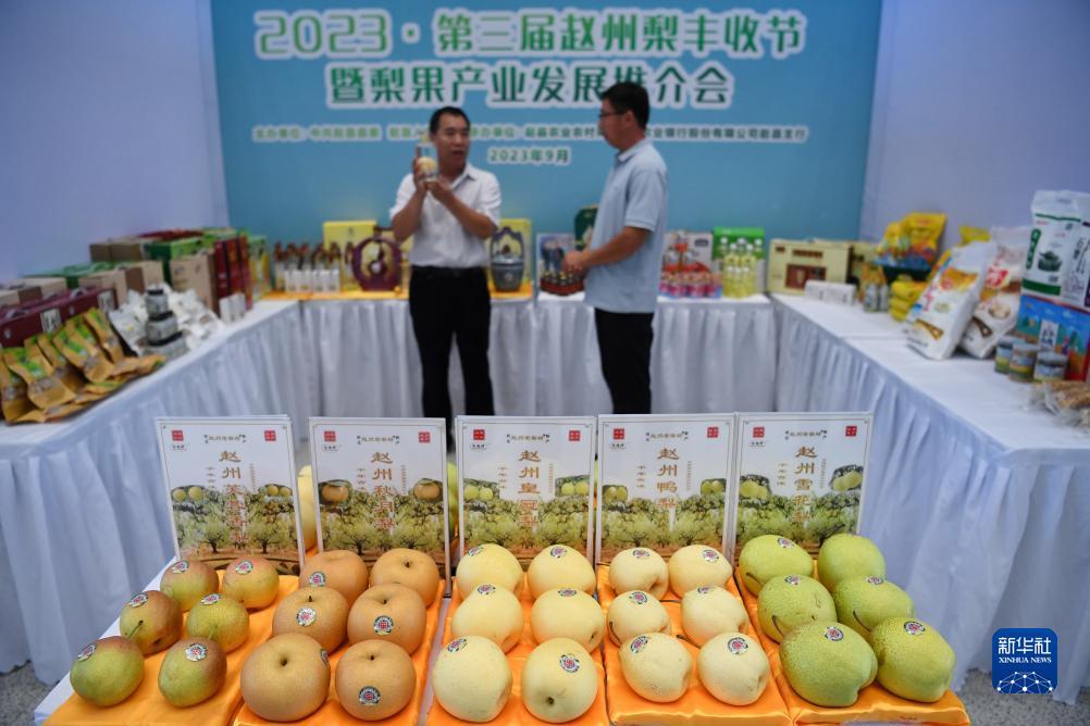 178娱乐众发
